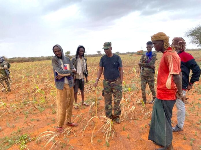 The prominent lawmaker Dahir Jeesow has been leading local forces to drive out Al-Shabaab from three vital regions in Somalia. | PHOTO/ KAAB TV.