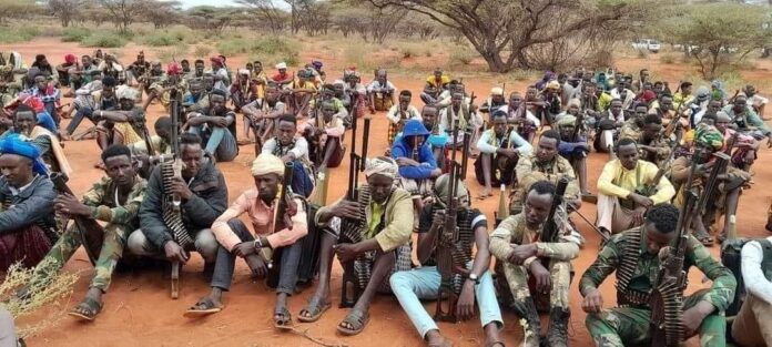 Armed clan militia in central Somalia. | PHOTO/File.