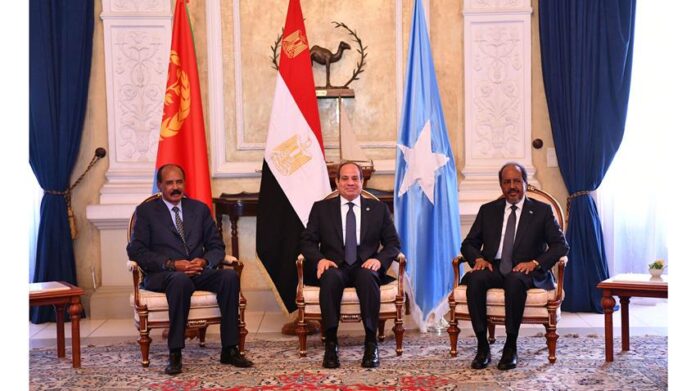 To counter Ethiopia’s ambitions, Egypt has strengthened its alliances with neighboring countries, notably Somalia and Eritrea, both of which share concerns about Ethiopia's regional intentions.