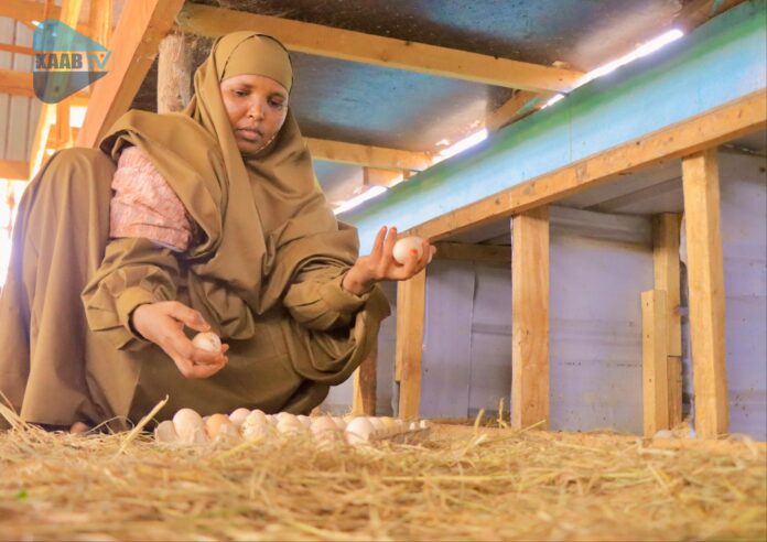 Halima Ali Mohamud spent 30 years in a refugee camp in Kenya. Now she has a successful poultry farming in Kismayo. | PHOYO/ Kaab TV.
