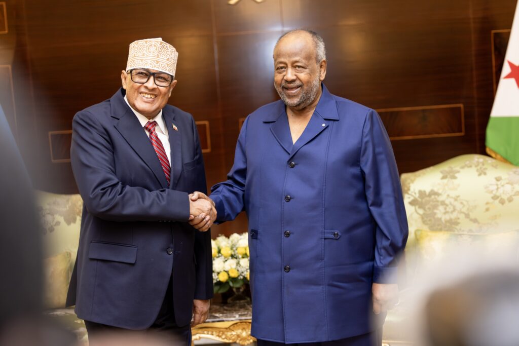 Irro then met president Guelleh in the presidential palace. | PHOTO/OFFICIAL. Irro then met president Guelleh in the presidential palace.