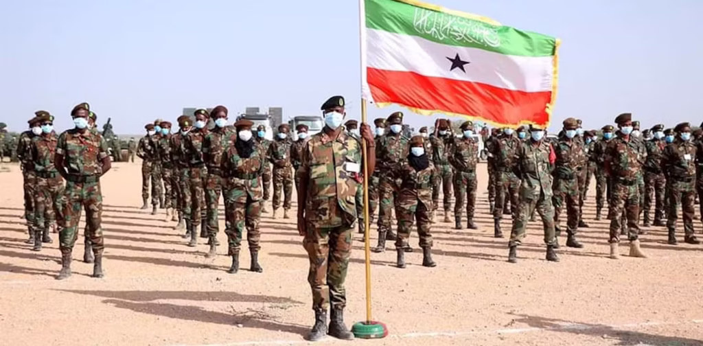 Somaliland has sought to engage allies to advance its main goal: achieving international recognition. Wikimedia Commons.