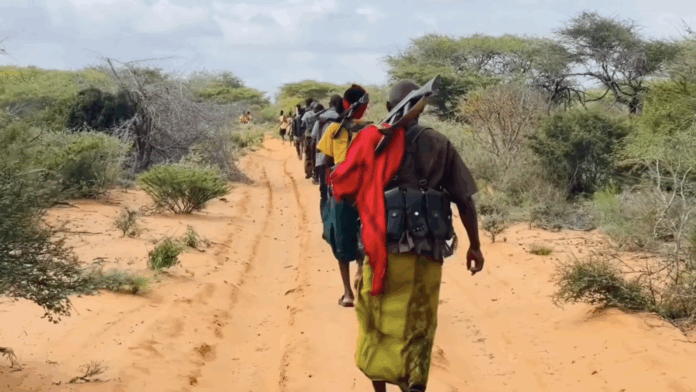 Photo: The Hawadle clan militia, known as Ma’awisley, have been fighting al-Shabaab without government support.