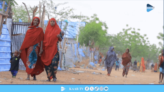 Thousands of internally displaced Somalis living in the Kabaase camp near Doolow are facing an escalating humanitarian crisis,