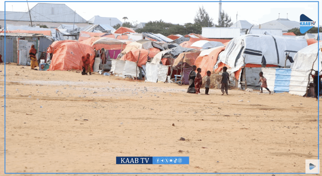 An estimated 3.8 million people are internally displaced across Somalia, with limited or no access to healthcare.