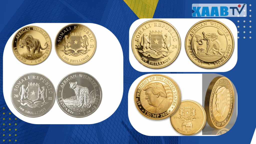 The complaint accuses the Bavarian State Mint and two other German firms of producing and marketing gold and silver coins as official currency of the Republic of Somalia without legal authorization since 2004.