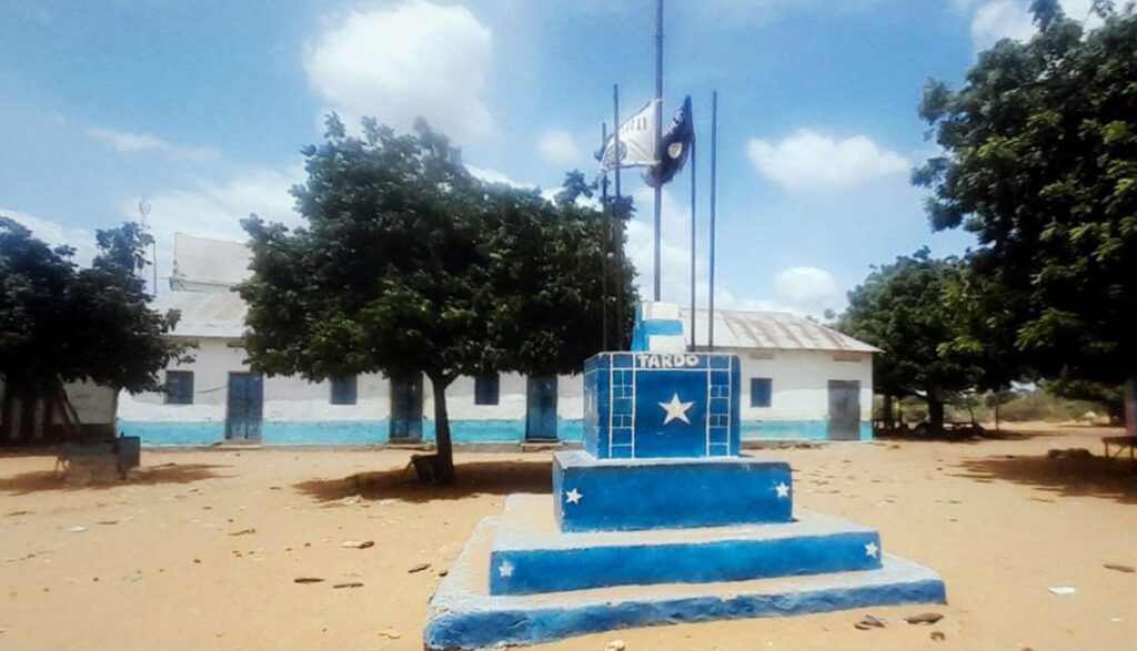 Al-Shabaab militants seized control of Tardo, a town in central Somalia’s Hiiraan region
