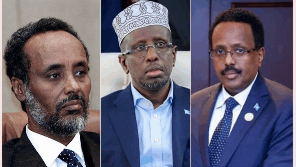 The former leaders — Abdiqasim Salad Hassan, Sharif Sheikh Ahmed, and Mohamed Abdullahi Farmaajo — called for all illegally grabbed land to be returned to the state.