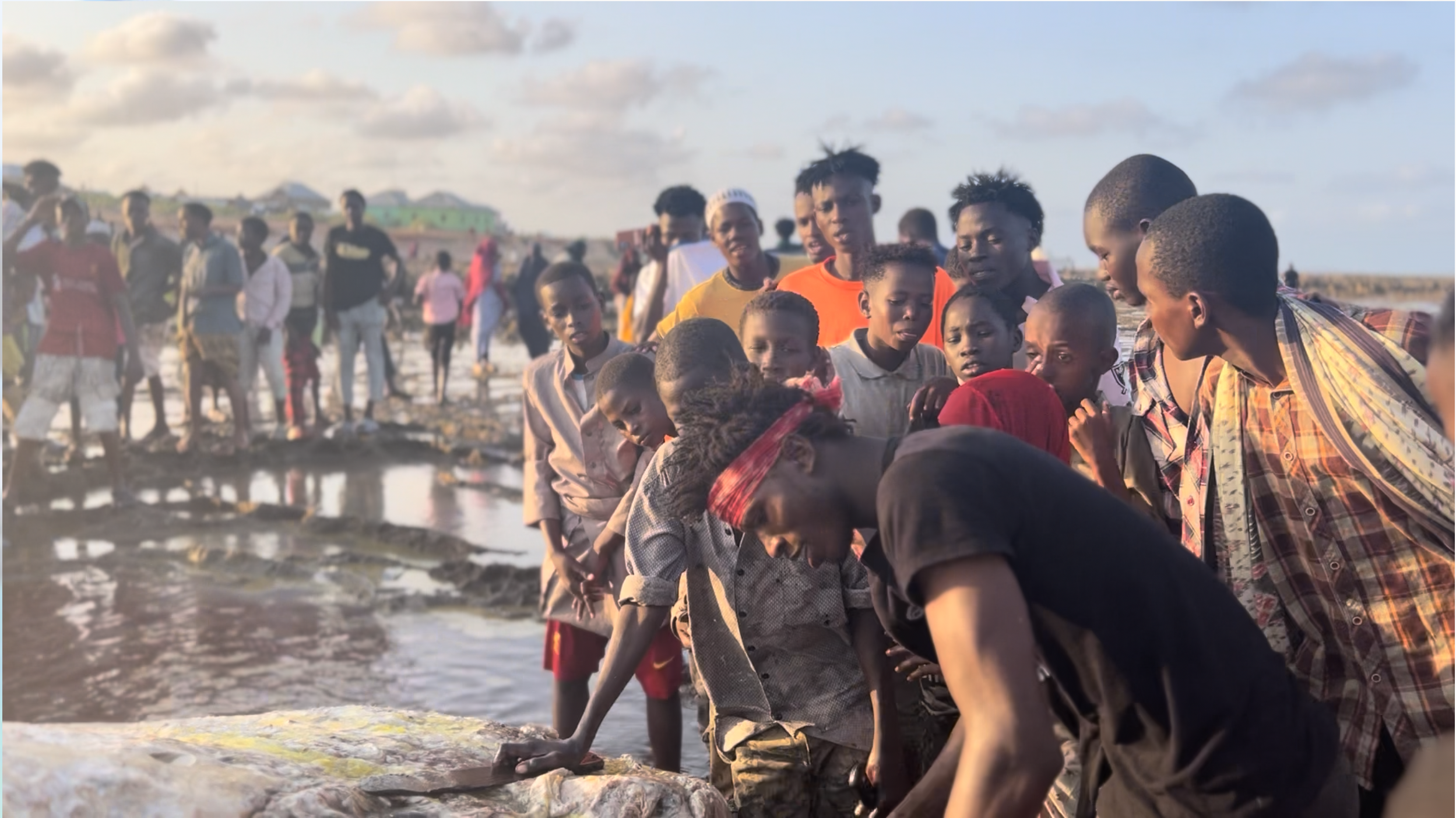 A young man is surrounded by people as he cuts meat from a whale that washed ashore at Kismayo Beach in August 2025. | PHOTO: Abdullahi Hussein Kilas.