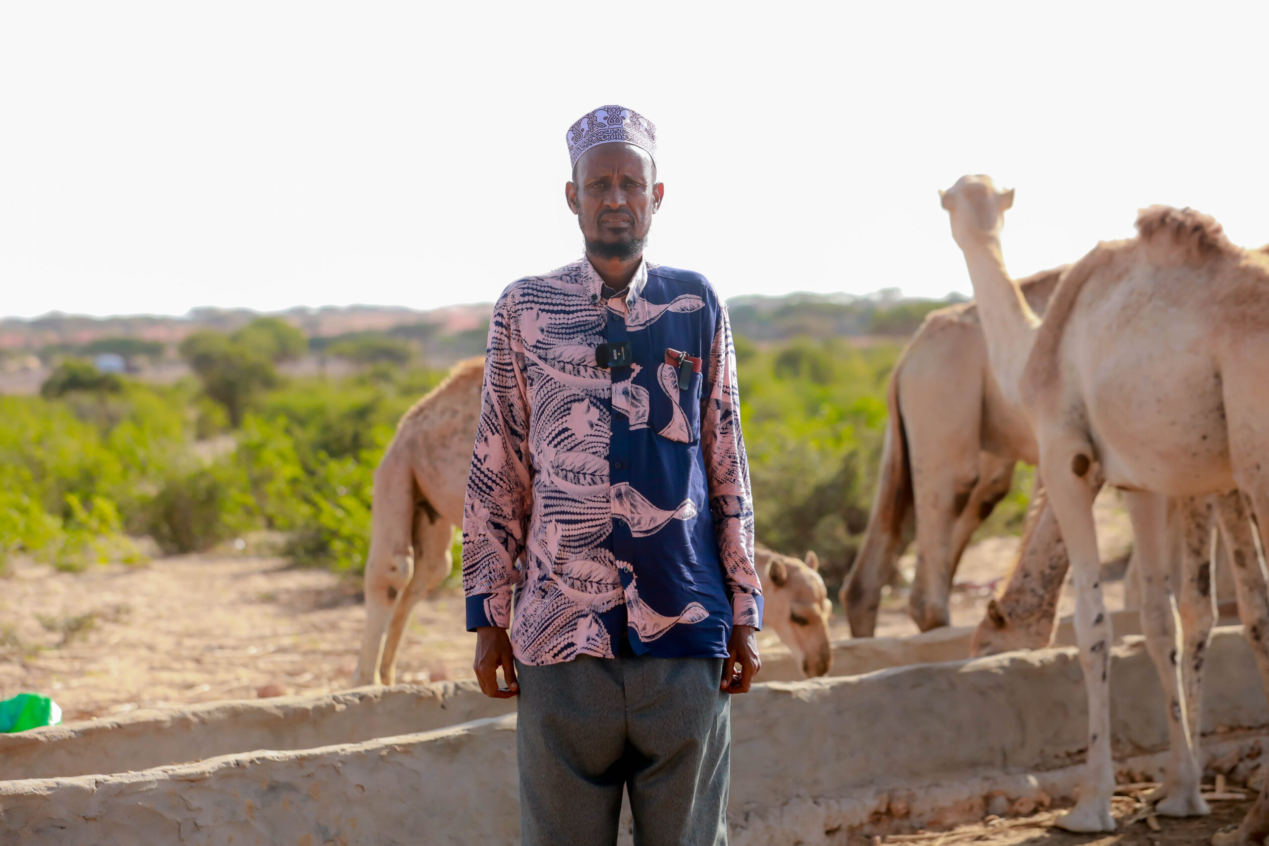 A camel herder stands beside his camels in Barkadda village, on the outskirts of Kismayo, Lower Juba region, Jubbaland, Somalia. October 15, 2025. PHOTO: Abdullahi Hussein Kilas.