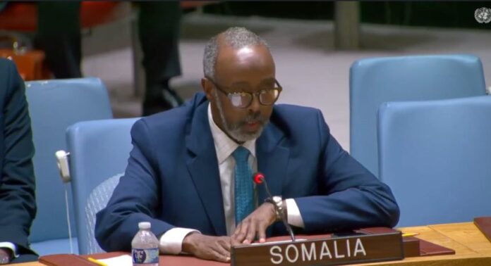 The U.S. Deputy Secretary of Health, Jim O’Neill, has confirmed that Somalia’s Permanent Representative to the United Nations is affiliated with a healthcare company in Ohio