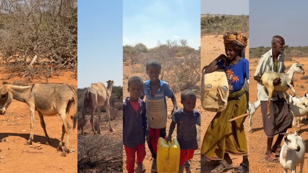 Somalia Drought Crisis: Over 7 Million People Facing Severe Hardship