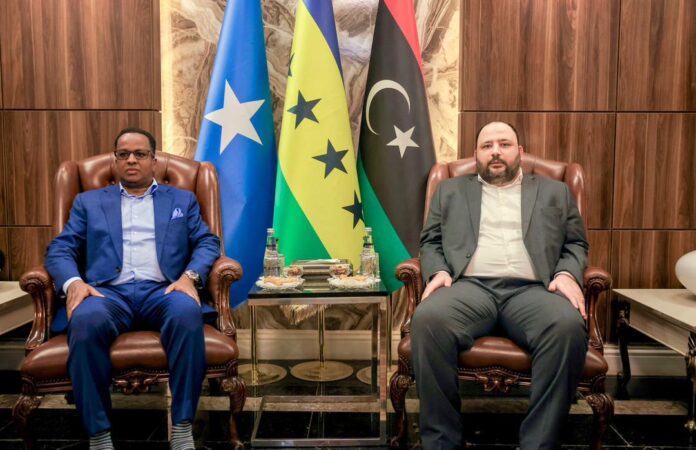Somali Foreign Minister Meets Libyan Prime Minister in Tripoli