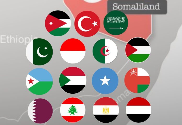 15 Arab and Muslim Nations Reject Somaliland’s Proposed Embassy Plan for Jerusalem