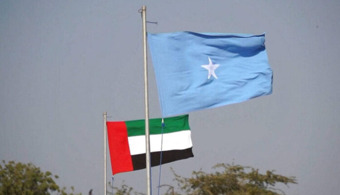 Somalia Rejects Allegations of Expelling UAE Ambassador, Labels Reports False