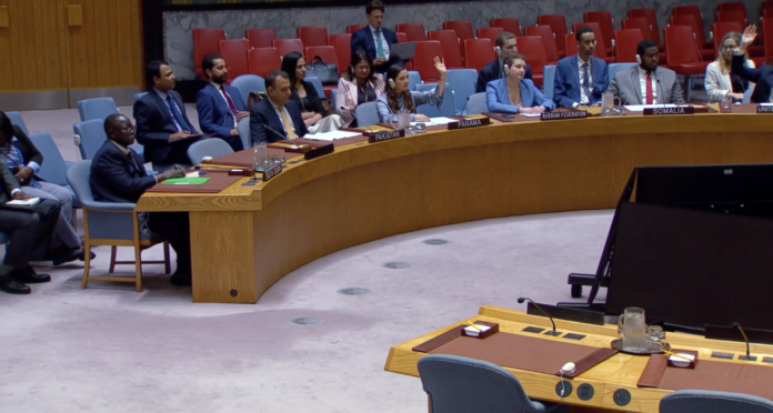 The United Nations Security Council has voted to extend the arms embargo on South Sudan for another year. | PHOTO/ handout.