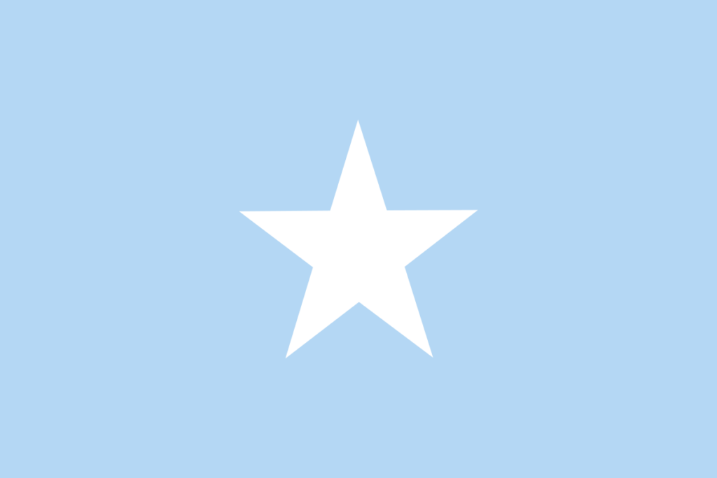 Somalia Commemorates 66 Years of Independence and National Unity