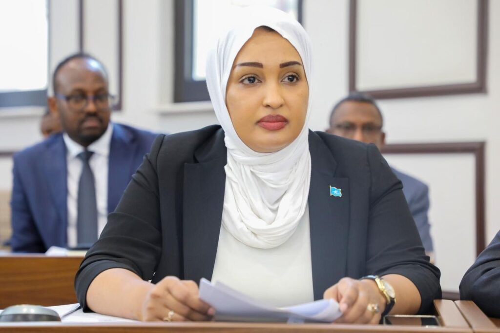 H.E Amb. Khadija Mohamed Al Makhzoumi at a Federal Government's ministerial meeting (2022)