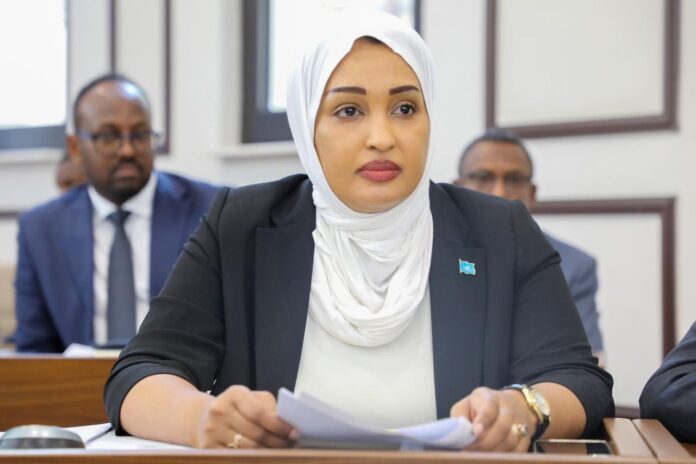 H.E Amb. Khadija Mohamed Al Makhzoumi at a Federal Government's ministerial meeting (2022)