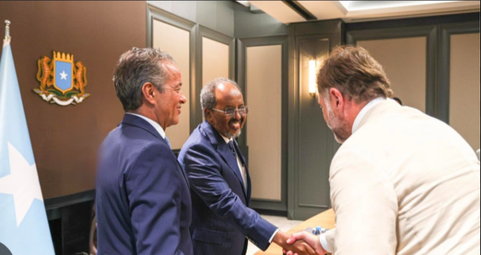 Former Somali President Meets Italian Business Leaders and Investors in Mogadishu