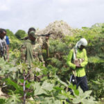 14 October Brigade Defuses Marka-Janaale Land Dispute