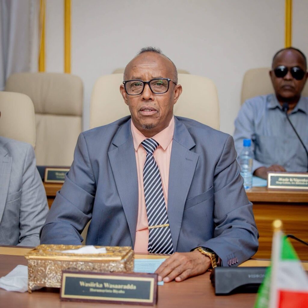 Mohamed Abdimalik Ahmed, Somaliland's Minister for Water Resources.