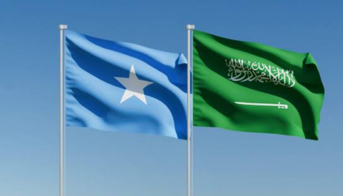 Somalia Condemns Houthi Threats Against Saudi Arabia, Reaffirms Support for Maritime Security