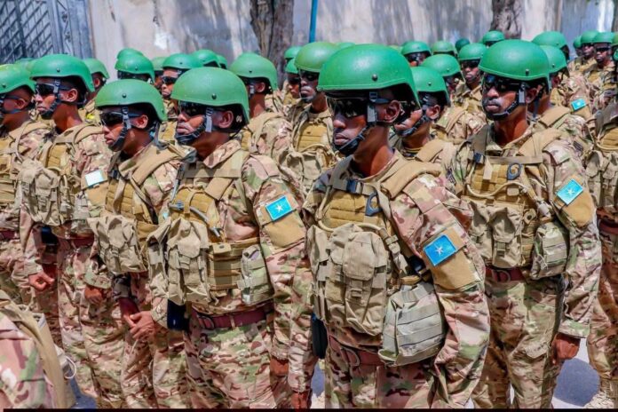 Somalia forces. | Photo/handout.