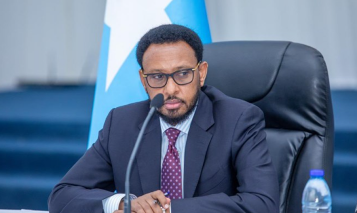 Somalia's Finance Minister Flags Falling Revenue