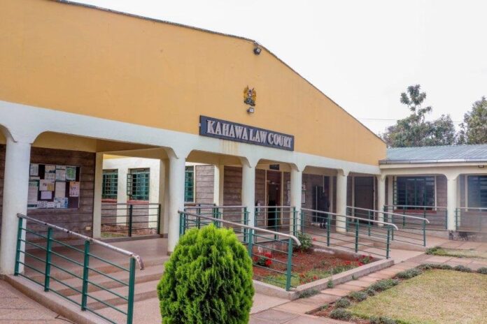 Kenyan Court Sentences Al-Shabaab Member to 115 Years