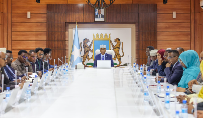 Somali PM Directs Ministers to Travel on Somali Passports