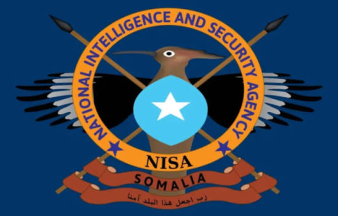 Somali Government Says Senior Al-Shabaab Figure Killed in Jilib Airstrike