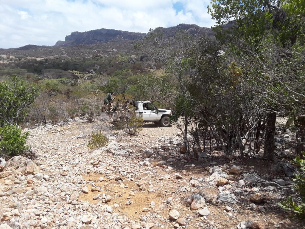 Puntland forces seized PSF base in Galkayo.