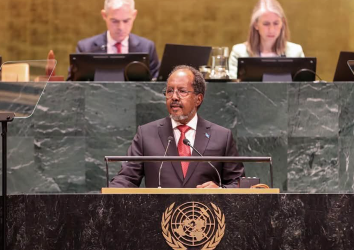 Hassan Sheikh Calls for African Representation on UN Security Council