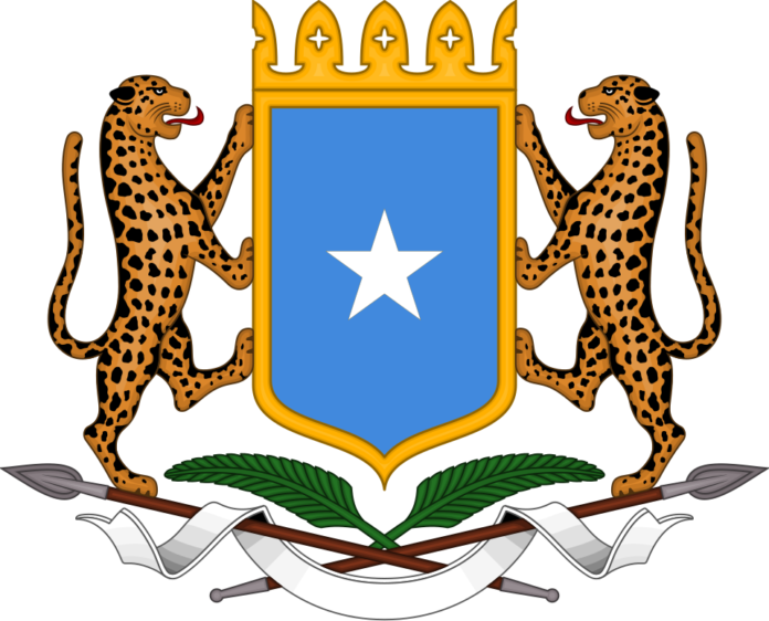 Somalia Condemns Houthi Missile Attacks on Saudi Arabia