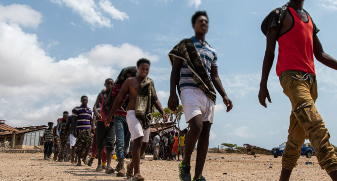 Djibouti Deports 224 Undocumented Migrants After Raids