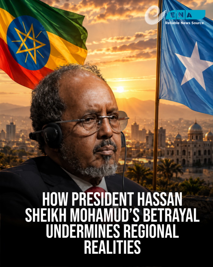 Ethiopian News Agency Criticizes Hassan Sheikh’s Ethiopia Policy