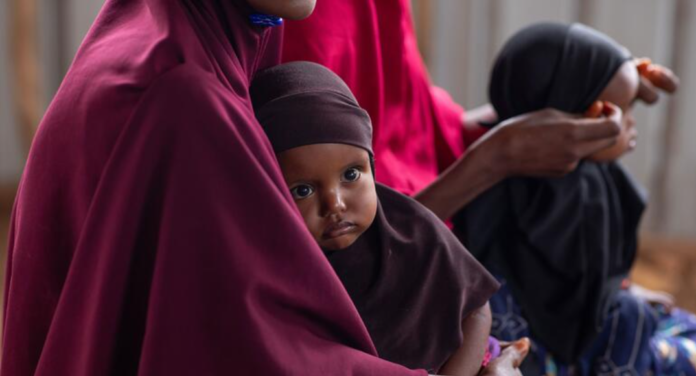 UNICEF Reports Child Casualties and Health Facility Damage in Baidoa