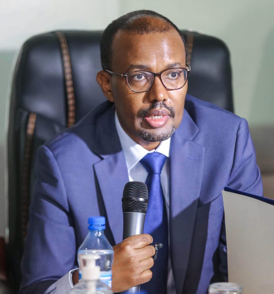 Former Somali Foreign Minister Raises Questions Over Recognition of Federal Government