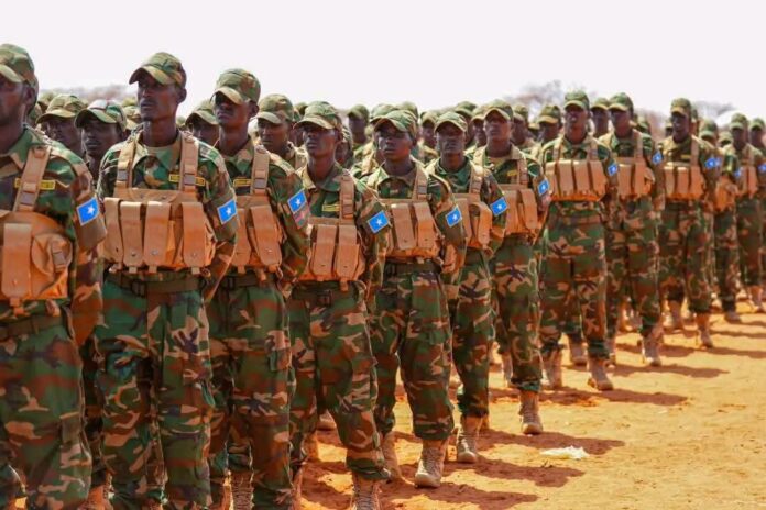 Nearly 10,000 Somali Soldiers Reportedly Face Salary Cuts