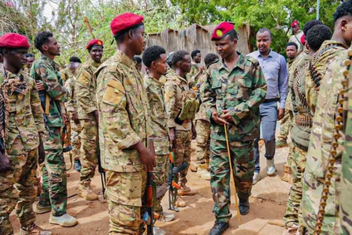 Doolow Leader Backs Cooperation With Ethiopian Forces Amid Gedo Tensions