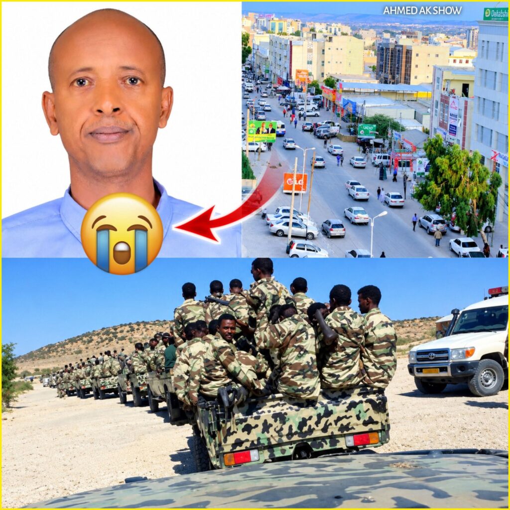 Ahmed Kaahin's Killing in Hargeisa Prompts Calls for Probe